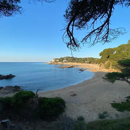 Rosa Dels Vents Port D'aro *
