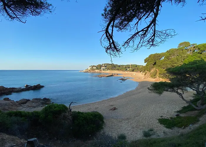 Rosa Dels Vents Port D'aro *